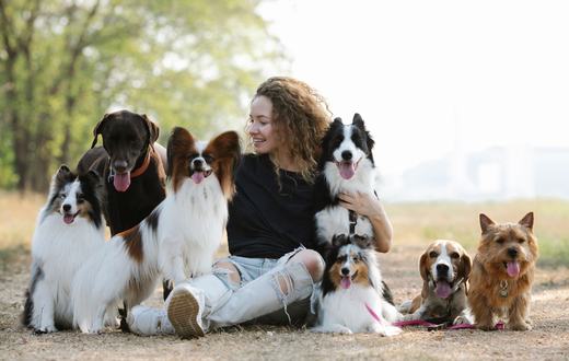 7 Ras Anjing untuk Pemula: Jinak, Mudah Dilatih, dan Tidak Ribet Dirawat