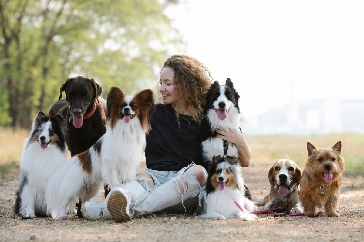 7 Ras Anjing untuk Pemula: Jinak, Mudah Dilatih, dan Tidak Ribet Dirawat