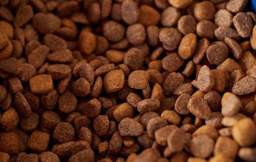 Cara Membaca Label Makanan Anjing: Pahami Kandungan Sebelum Membeli