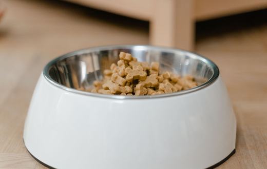 Makanan Anak Anjing: Nutrisi Tepat untuk Tumbuh Kembang Optimal