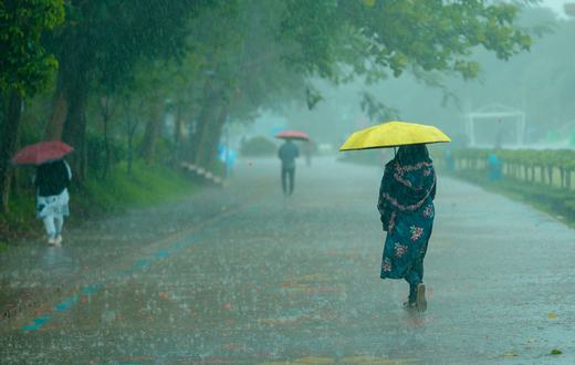 Merawat Hewan Peliharaan Saat Musim Hujan: Cegah Jamur, Kutu, dan Flu
