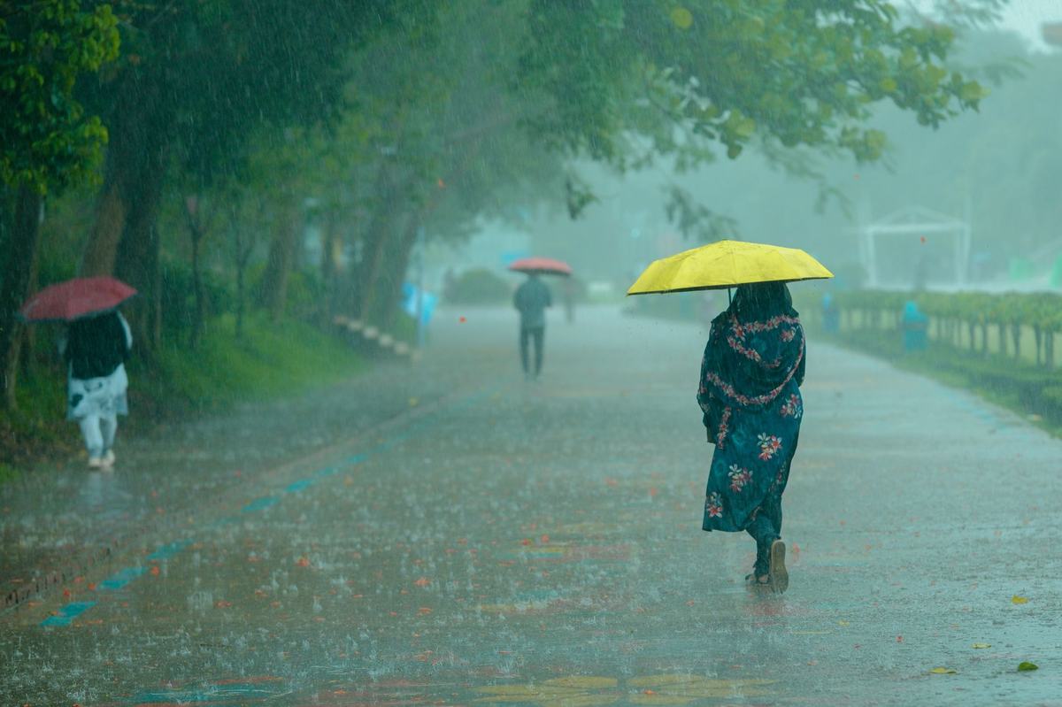 Merawat Hewan Peliharaan Saat Musim Hujan: Cegah Jamur, Kutu, dan Flu